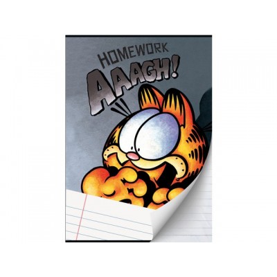 SCHRIFT GARFIELD BOYS A4 LIJN