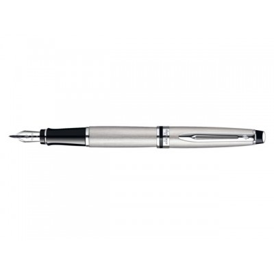 VULPEN WATERMAN EXPERT CT ACIER M