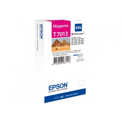 INKCARTRIDGE EPSON T701340 EXTRA HC ROOD