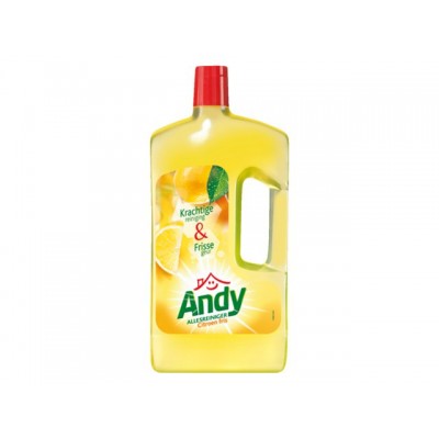 ALLESREINIGER ANDY CITROEN FRIS 1 LITER