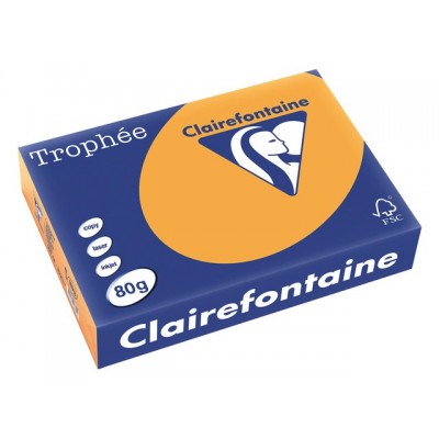 KOPIEERPAPIER TROPHEE A4 80GR OR