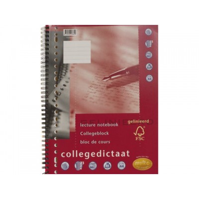 COLLEGEDICTAAT MULTO 23R LIJN 80GR 80V