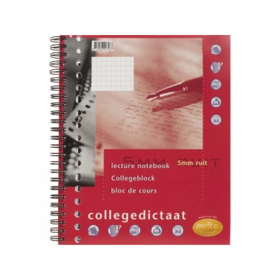 COLLEGEDICTAAT MULTO 17R RUIT 5MM 80GR 80V