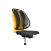 RUGSTEUN FELLOWES OFFICE SUITES GAAS