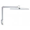 WERKPLEKLAMP MAUL WORK LED KLEM DIMBAAR WIT