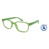 LEESBRIL X +1.00 REGENBOOG GROEN