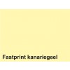 KOPIEERPAPIER FASTPRINT A4 160GR KANARIEGEEL