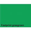 KOPIEERPAPIER FASTPRINT-50 A4 160GR GRASGROEN