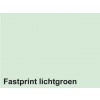 KOPIEERPAPIER FASTPRINT-50 A4 160GR LICHTGROEN