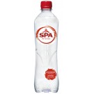 WATER SPA INTENS ROOD PET  0.50L