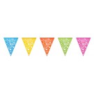 VLAGGENLIJN HAZA COLORFUL 6M