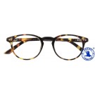LEESBRIL +2.00 DOKTER NEW BRUIN
