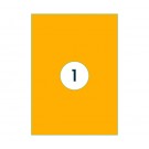 ETIKET RILLPRINT 210X297MM FLUOROR 100 ETIKETTEN