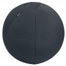 ACTIEVE ZITBAL LEITZ ERGO 55CM ANTI-ROL DONKERGS