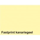 KOPIEERPAPIER FASTPRINT-100 A4 120GR KANARIEGEEL