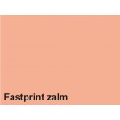 KOPIEERPAPIER FASTPRINT A4 80GR ZALM