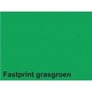 KOPIEERPAPIER FASTPRINT-50 A4 160GR GRASGROEN