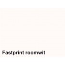 KOPIEERPAPIER FASTPRINT-100 A4 80GR ROOMWIT