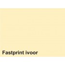 KOPIEERPAPIER FASTPRINT-100 A4 80GR IVOOR