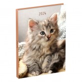 AGENDA 2024 LANNOO MY FRIENDS 7D/2P 110X150 KITTEN