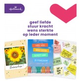 WENSKAART HALLMARK NAVULSET ZAKELIJKE MOMENT 8 ST