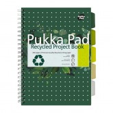 PROJECTBOEK PUKKA RECY A4 LIJN 4-G 200PAG 80GR GN
