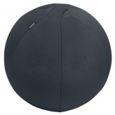ACTIEVE ZITBAL LEITZ ERGO 55CM ANTI-ROL DONKERGS