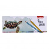 KLEURPOTLOOD BRUYNZEEL SCHILDPAD