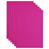 KOPIEERPAPIER PAPICOLOR A4 100GR FELROZE