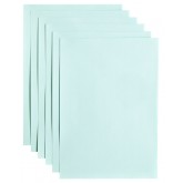 KOPIEERPAPIER PAPICOLOR A4 200GR ZEEGROEN