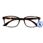 LEESBRIL +2.50 RELAX BRUIN