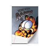 SCHRIFT GARFIELD BOYS A4 LIJN