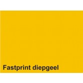 KOPIEERPAPIER FASTPRINT A4 160GR DIEPGEEL