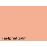 KOPIEERPAPIER FASTPRINT A4 80GR ZALM