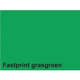 KOPIEERPAPIER FASTPRINT-100 A4 120GR GRASGROEN