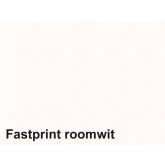 KOPIEERPAPIER FASTPRINT A4 160GR ROOMWIT