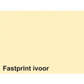 KOPIEERPAPIER FASTPRINT A4 80GR IVOOR