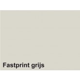 KOPIEERPAPIER FASTPRINT-100 A4 120GR GRIJS