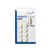 MAGNEET LEGA 20MM 250GR WIT