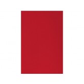 VOORBLAD GBC A4 PP 300MICRON ROOD